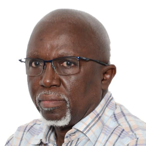 Mr. Kayemba Laurent Ntumba 